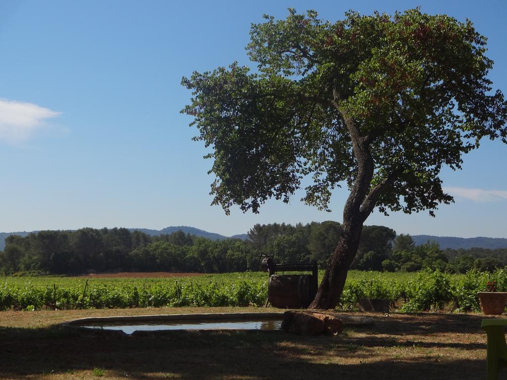 Chateau Nestuby Cotignac Kültér fotó