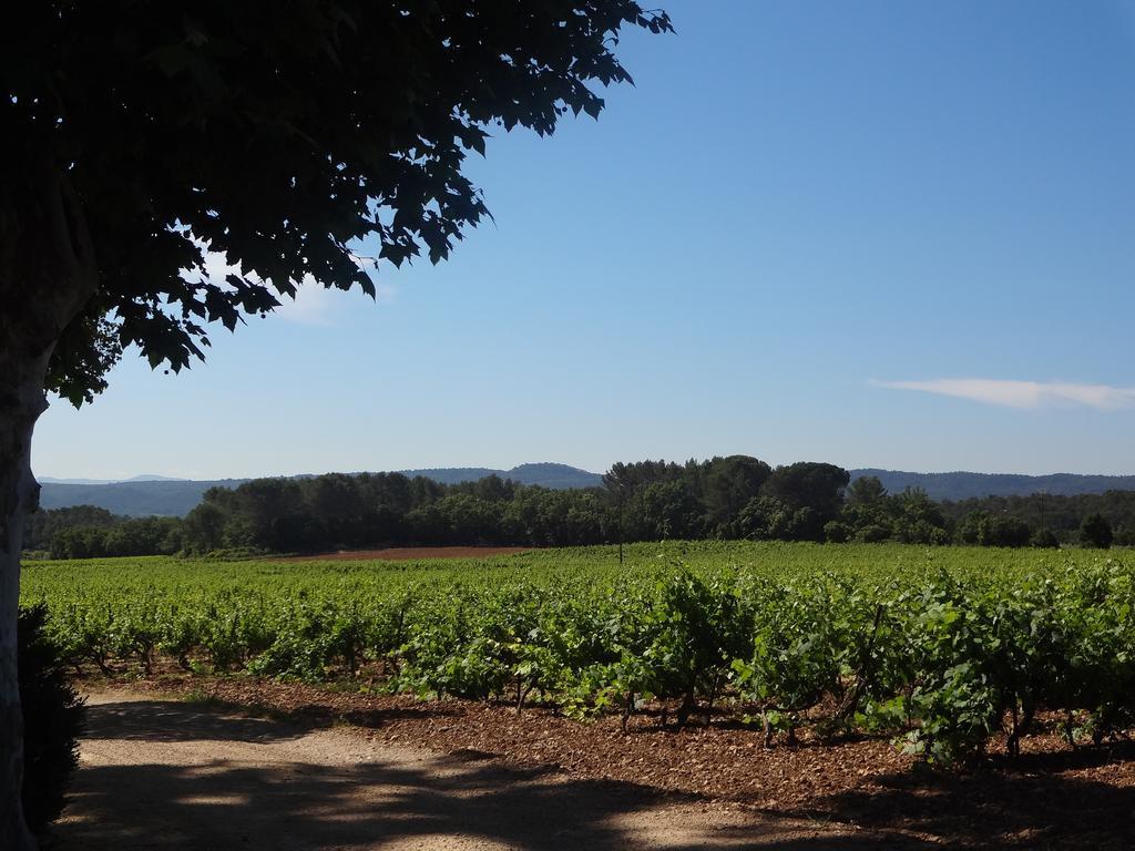 Chateau Nestuby Cotignac Kültér fotó